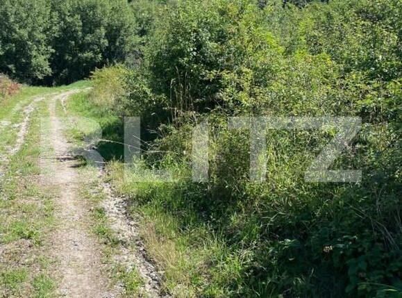 Teren de vânzare Feleacu - 191178TV | BLITZ Cluj-Napoca | Poza1