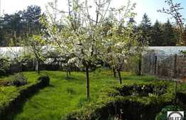 Liniste si relaxare la 5 minute de centrul orasului! Doua case la pret de una!