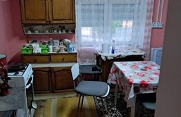 Casa Homorod Brasov, ideala locuit si gradinarit 