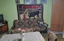 Casa Homorod Brasov, ideala locuit si gradinarit 