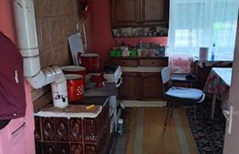 Casa Homorod Brasov, ideala locuit si gradinarit 