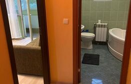 Apartament o cameră, 37 mp, parcare, zona Stejarului