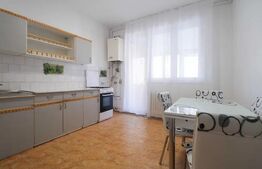 Apartament 1 camera, pet-friendly, parcare, 55mp, zona: strazii Maramuresului 