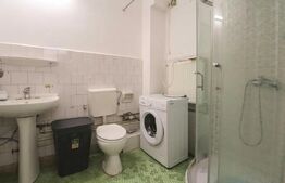 Apartament 1 camera, pet-friendly, parcare, 55mp, zona: strazii Maramuresului 