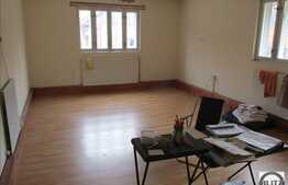 2 case de vanzare, in acceasi curte, 256 mp, teren de 659 mp, zona centrala!