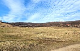 Teren intravilan 4100 mp în Florești | Parcelabil | Zonă de pădure 