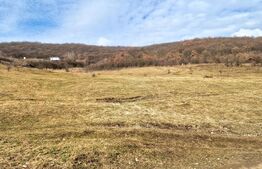 Teren intravilan 4100 mp în Florești | Parcelabil | Zonă de pădure 
