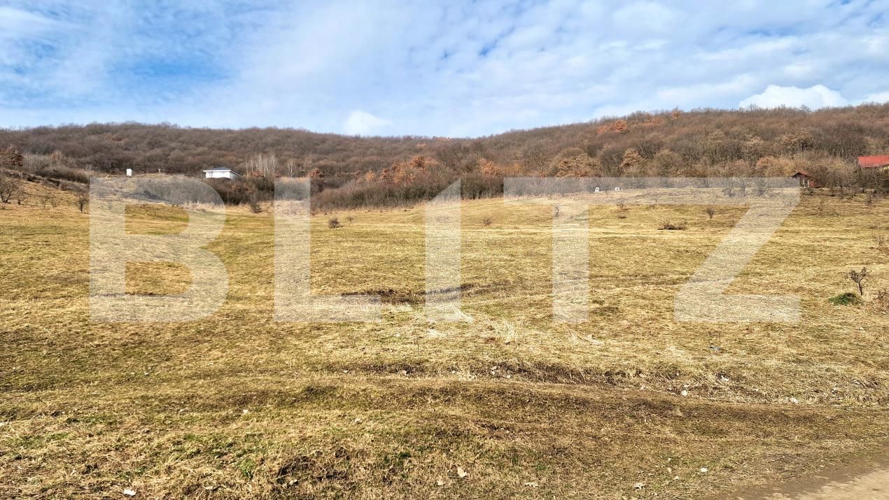 Teren de vânzare Floreşti - 191246TV | BLITZ Cluj-Napoca | Poza2