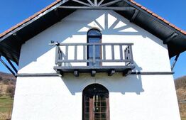 Oportunitate de investitie! Agropensiune în mijlocul naturii stil rustic | 180mp