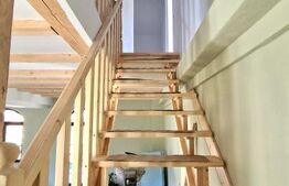 Oportunitate de investitie! Agropensiune în mijlocul naturii stil rustic | 180mp