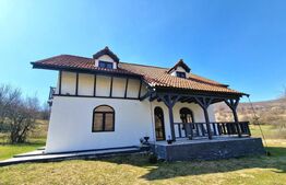 Oportunitate de investitie! Agropensiune în mijlocul naturii stil rustic | 180mp