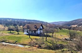 Oportunitate de investitie! Agropensiune în mijlocul naturii stil rustic | 180mp