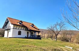 Oportunitate de investitie! Agropensiune în mijlocul naturii stil rustic | 180mp
