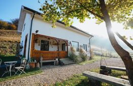 Agropensiune în mijlocul naturii – business la cheie, venit anual 30.000–40.000€