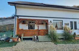 Agropensiune în mijlocul naturii – business la cheie, venit anual 30.000–40.000€