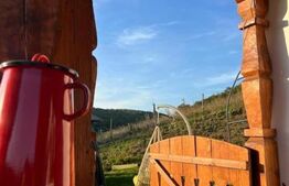 Agropensiune în mijlocul naturii – business la cheie, venit anual 30.000–40.000€