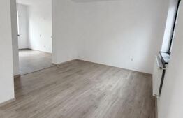 Duplex de vânzare 5 CAMERE – 500 mp, Cartier Izvor