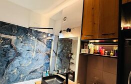 Garsoniera moderna / Sanpetru- subcetate / 39mp 