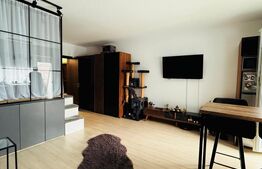 Garsoniera moderna / Sanpetru- subcetate / 39mp 