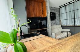 Garsoniera moderna / Sanpetru- subcetate / 39mp 