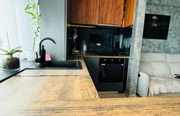 Garsoniera moderna / Sanpetru- subcetate / 39mp 