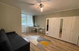 Apartament cu 1 cameră, 35 mp, zona străzii Detunata