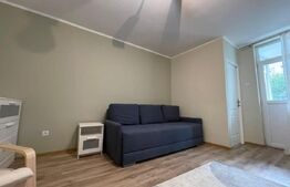 Apartament cu 1 cameră, 35 mp, zona străzii Detunata