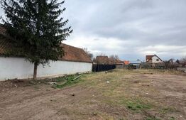 Casă veche cu teren generos – 1595 mp – zonă centrală Hărman