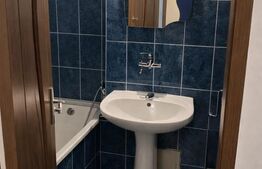 Apartament 1 camera | Etaj Intermediar | Zona Piata Marasti | 