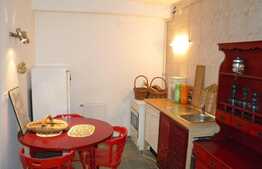 Casa in stil medieval! Ideala pensiune! 350 mp utili 2100 mp teren!