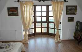 Casa in stil medieval! Ideala pensiune! 350 mp utili 2100 mp teren!