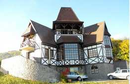 Casa in stil medieval! Ideala pensiune! 350 mp utili 2100 mp teren!