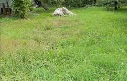 Casa individuala de vanzare, 200 mp utili cu 1200 mp teren