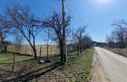 Oportunitate de investitie! 3 ha, 102m front, intravilan, utilitati, Jucu de Sus