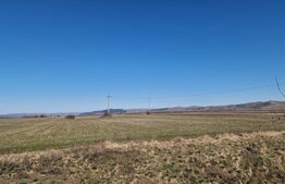 Teren intravilan, 29.000mp, front 102mp, utilitati in zona, Jucu de Sus