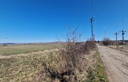 Teren intravilan, 29.000mp, front 102mp, utilitati in zona, Jucu de Sus