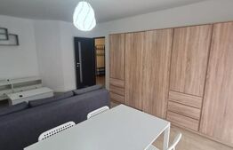 Apartament decomandat, pet friendly, parcare, recent renovat, zona Terra