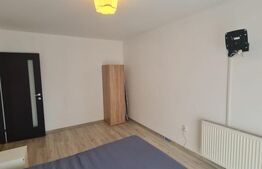 Apartament decomandat, pet friendly, parcare, recent renovat, zona Terra