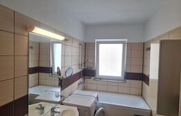 Apartament decomandat, pet friendly, parcare, recent renovat, zona Terra