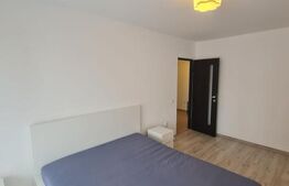Apartament decomandat, pet friendly, parcare, recent renovat, zona Terra