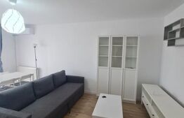 Apartament decomandat, pet friendly, parcare, recent renovat, zona Terra