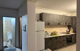 Apartament  de vanzare 2 camere open space, 52mp,  balcon, zona  IULIUS MALL!