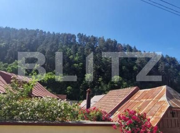 Casa de închiriat 2 camere Schei - 191360CI | BLITZ Brașov | Poza12