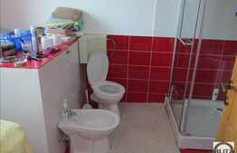 De vanzare 2 case, curte comuna, 225 mp , cu teren de 450 mp, zona Iris!