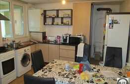 De vanzare 2 case, curte comuna, 225 mp , cu teren de 450 mp, zona Iris!