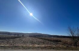 Teren de vânzare Mihai Viteazu - 193012TV | BLITZ Cluj-Napoca | Poza1