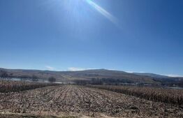 Oportunitate de Investiție – Teren 2.016 mp lac Padureni comuna Ciurila