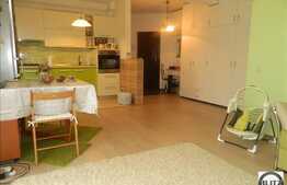 Apartament in zona strazii Stejarului, 50 mp, mobilat, loc parcare inclus