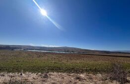 Oportunitate de Investiție - Teren Generos 17.000 mp la Lac Pădureni, Ciurila 