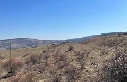 Teren de vânzare Borhanci - 193720TV | BLITZ Cluj-Napoca | Poza5